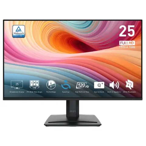 Msi 24.5 Inch Full Hd Mp251 E2