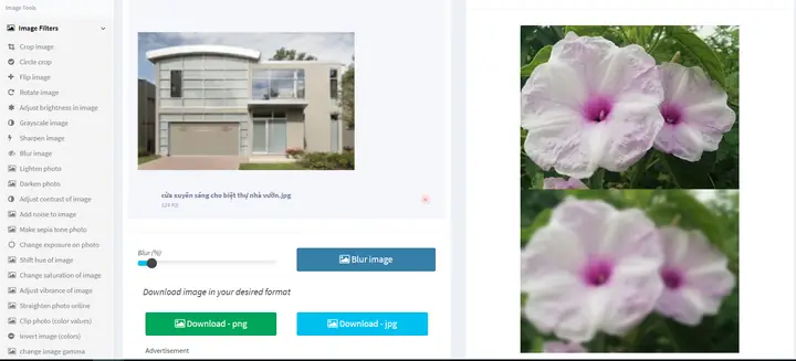 Sử Dụng Image Blur Làm Mờ Ảnh Online