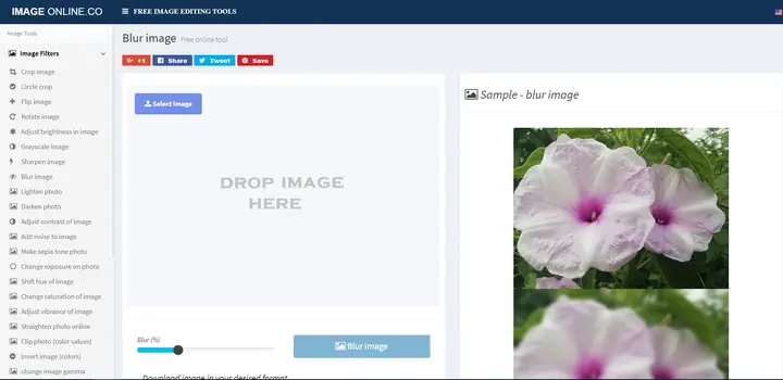 Sử Dụng Image Blur Làm Mờ Ảnh Online