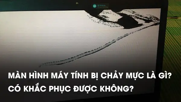 Bài Viết Liên Quan