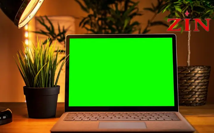 Màn Hình Máy Tính Bị Xanh Lá Cây Là Lỗi Gì?