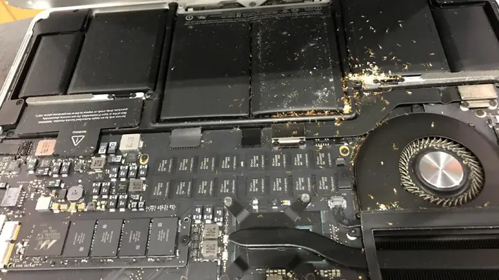 Tác Hại Của Việc Kiến Chui Vào Laptop