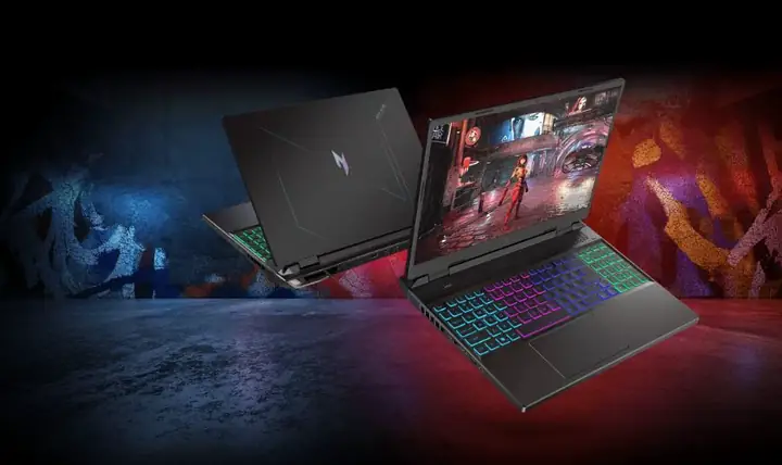 Acer Acer