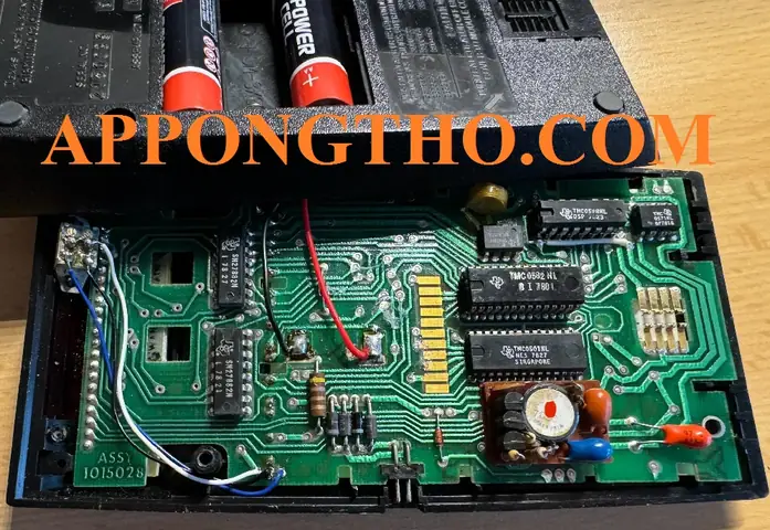 Đặc Điểm Nổi Bật Đặc Điểm Nổi Bật