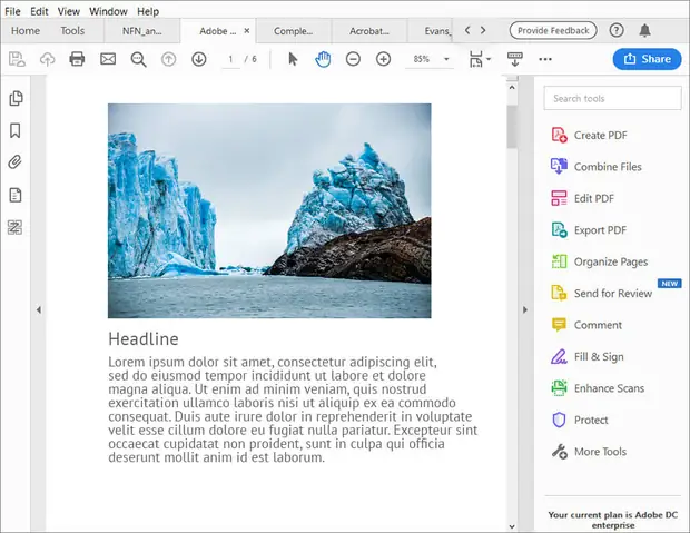 Khởi Động Lại Máy Tính Và Cài Đặt Adobe Acrobat Mới Nhất Để Mở File Pdf