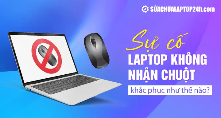 Nguyên Nhân Phổ Biến