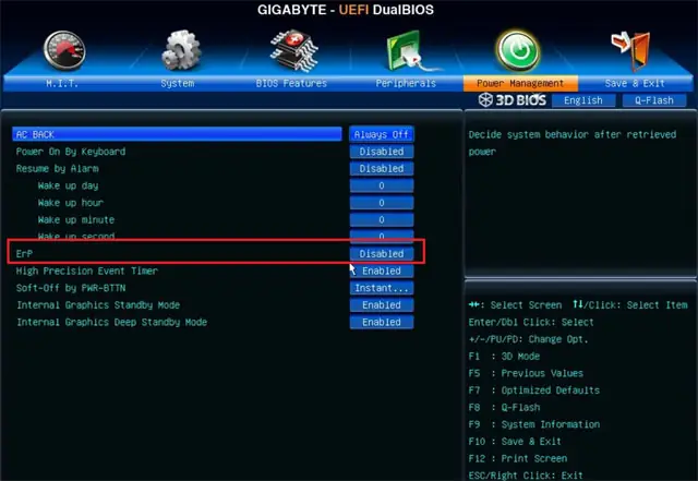 Mainboard Gigabyte