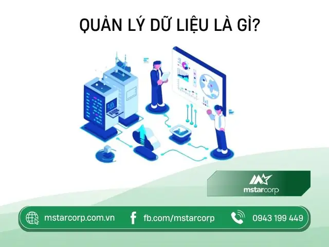 Quản Lý Dữ Liệu Là Gì?