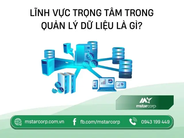 Các Lĩnh Vực Trọng Tâm Trong Quản Lý Dữ Liệu Là Gì?