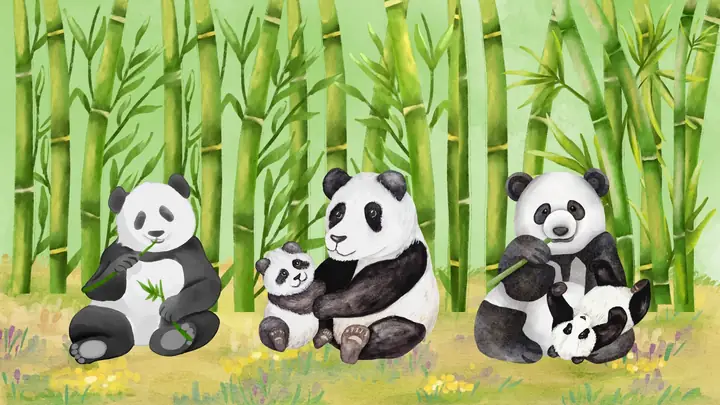 Hình Nền Máy Tính Cute, Dễ Thương