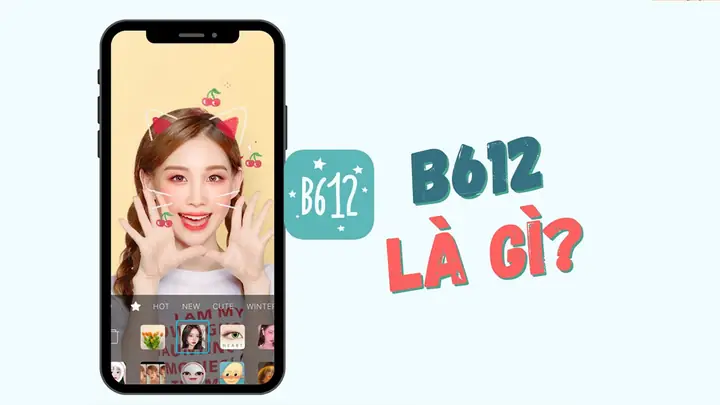 B612 Là Gì? B612 Là Gì?