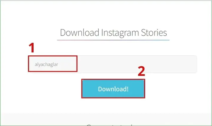 Cách Tải Video Story Instagram Trên Máy Tính