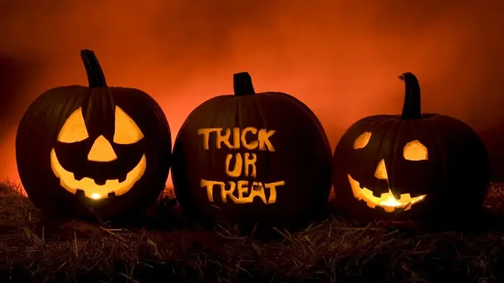 Bạn Có Đang Nghĩ Cuối Tháng 10 Này Chúng Ta Sẽ Có Gì Đặc Sắc? Có Đấy, Đó Chính Là Halloween. Lễ Hội Này Mang Đến Cho Chúng Ta Một Màu Sắc Ghê Rợn, Ma Mị Với Những Hình Ảnh Biểu Tượng Như Những Trái Bí Ngô Đèn Lồng Với Gương Mặt Đáng Sợ, Phù Thủy Với Cây Chổi Đang Bay, Hình Ảnh Kẹo Ngọt Đi Liền Với Câu Nói Nổi Tiếng “trick Or Treat”, Hay Đáng Sợ Hơn Với Hình Ảnh Máu Me Kinh Dị.