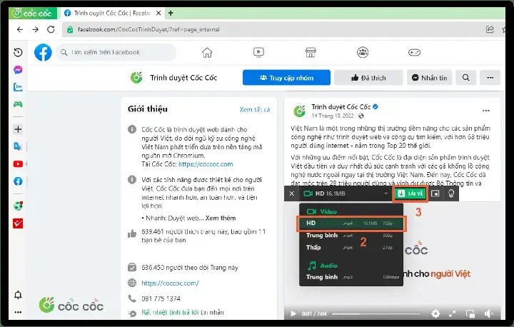 Tại Sao Cần Tải Video Từ Facebook Về Máy Tính?