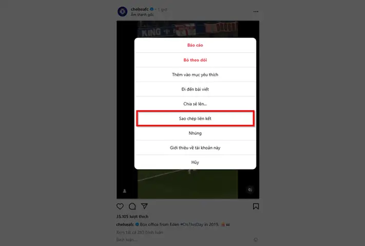 Cách Tải Video Reels Instagram Về Máy Tính