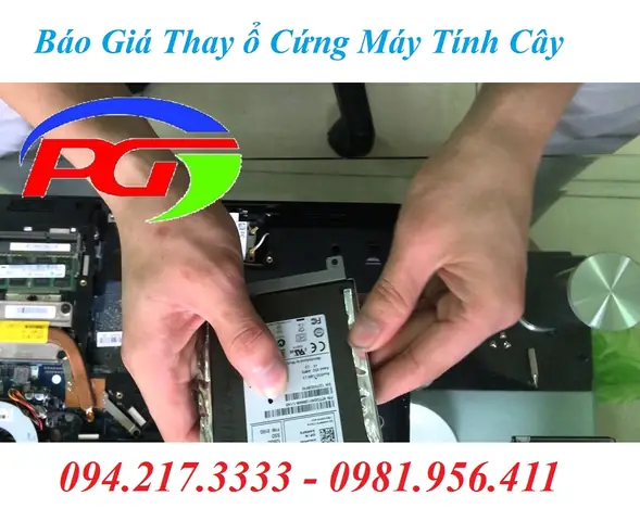 Thay Ổ Cứng Máy Tính Cây Thay Ổ Cứng Máy Tính Cây