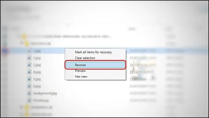 Khôi Phục Khi Đã Xóa Khỏi Thùng Rác (đã Empty Recycle Bin)