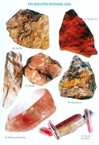 Tổng Quan Về Máy Tính Điện Tử