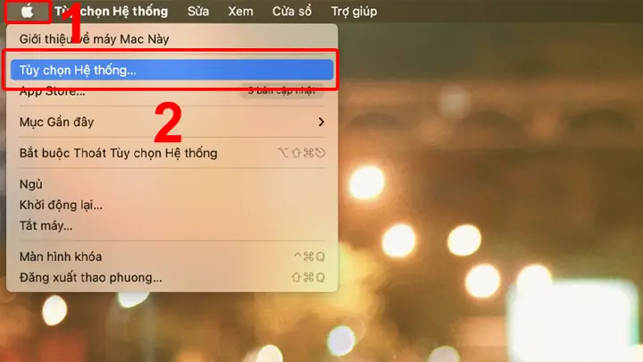 Xem Danh Bạ Trên Gmail Bằng Máy Mac