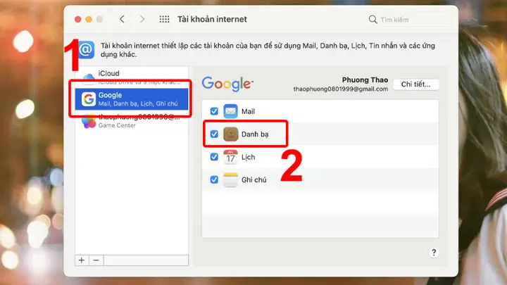 Xem Danh Bạ Trên Gmail Bằng Máy Mac