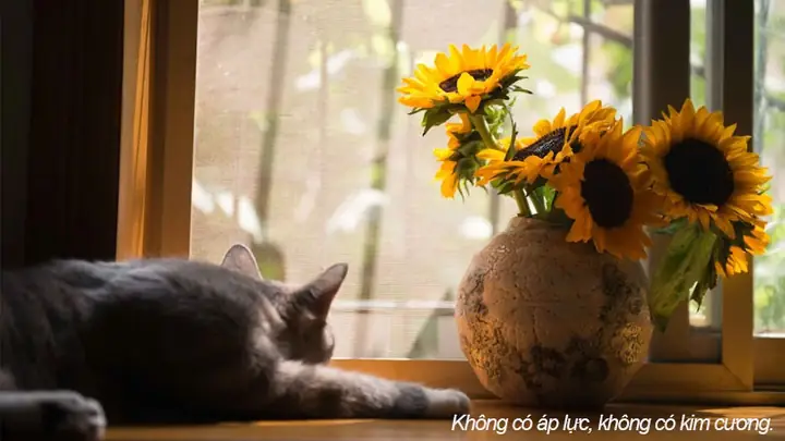Hình Nền Cute Có Chữ: 50 Mẫu Hình Nền Đẹp, Ấn Tượng