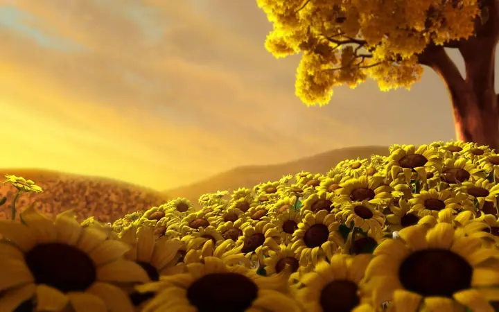 Sunflowers Wallpapers - Wallpaper Cave