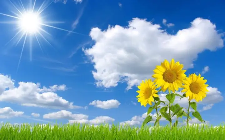 Tổng Hợp Hình Ảnh Đẹp Nhất P1 - Hình Nền Máy Tính | Sunflower ...