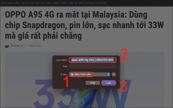 Cách Lưu Ảnh Tại Các Trình Duyệt Web Trên Macbook