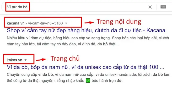 Đầu Gấu