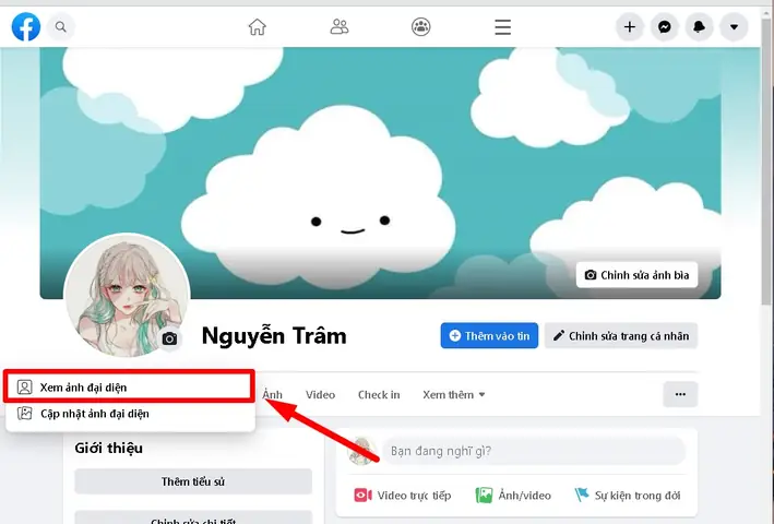 Cách Xóa Ảnh Đại Diện (avatar) Facebook Trên Máy Tính Cách Xóa Ảnh Đại Diện (avatar) Facebook Trên Máy Tính