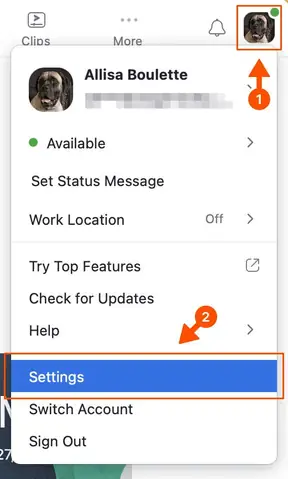 Hướng Dẫn Đổi Ảnh Đại Diện Trên Zoom Bằng Máy Tính