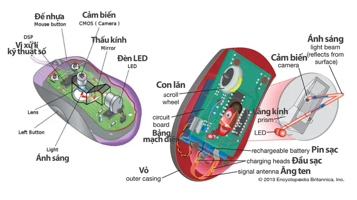 Cấu Tạo Chuột Máy Tính Có Những Bộ Phận Nào?
