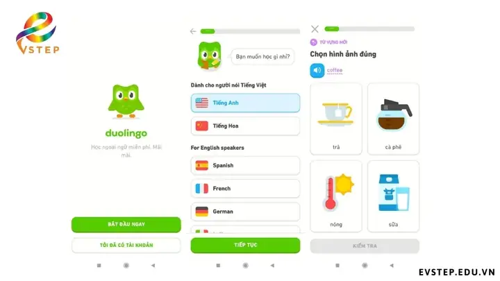 Tính Năng App Học Ngữ Pháp Tiếng Anh Trên Máy Tínhduolingo