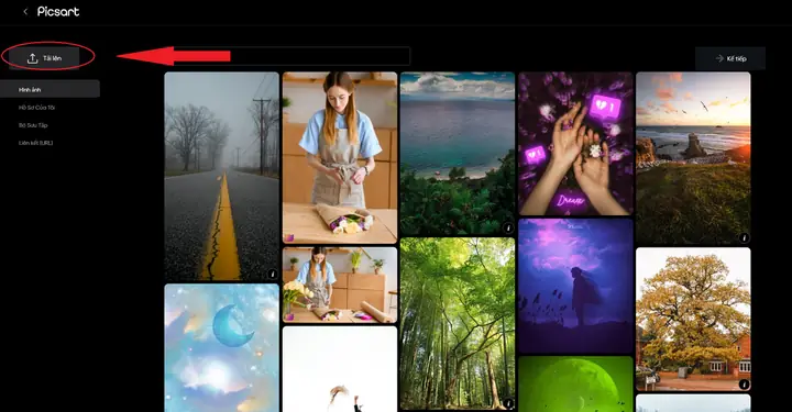 Hướng Dẫn Chỉnh Sửa Ảnh Bằng Picsart Trên Máy Tính