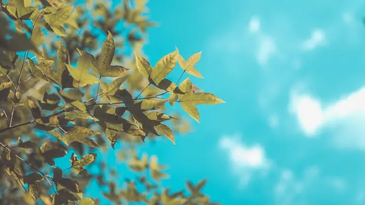 Hình Nền Chill Bầu Trời Đẹp Nhất