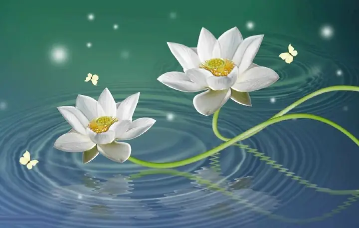 Hình Ảnh Cho Hình Nền Hoa Sen Full Hd Cho Máy Tính: