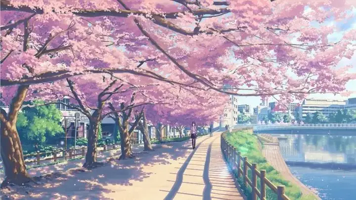 Hình Nền Hoa Anh Đào Anime Tuyệt Đẹp Cho Máy Tính Hình Nền Hoa Anh Đào Anime Tuyệt Đẹp Cho Máy Tính