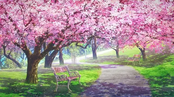 Hình Nền Hoa Anh Đào Anime Tuyệt Đẹp Cho Máy Tính Hình Nền Hoa Anh Đào Anime Tuyệt Đẹp Cho Máy Tính