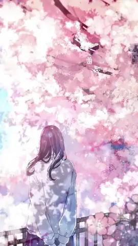 Hình Nền Hoa Anh Đào Anime Tuyệt Đẹp Cho Máy Tính Hình Nền Hoa Anh Đào Anime Tuyệt Đẹp Cho Máy Tính