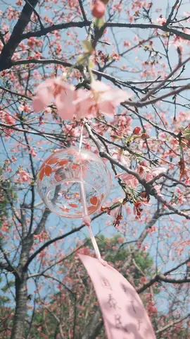 Hình Nền Hoa Anh Đào Anime Tuyệt Đẹp Cho Máy Tính Hình Nền Hoa Anh Đào Anime Tuyệt Đẹp Cho Máy Tính