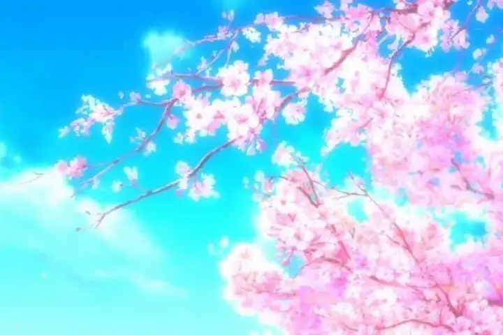 Hình Nền Hoa Anh Đào Anime Tuyệt Đẹp Cho Máy Tính Hình Nền Hoa Anh Đào Anime Tuyệt Đẹp Cho Máy Tính