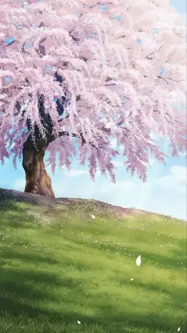 Hình Nền Hoa Anh Đào Anime Tuyệt Đẹp Cho Máy Tính Hình Nền Hoa Anh Đào Anime Tuyệt Đẹp Cho Máy Tính