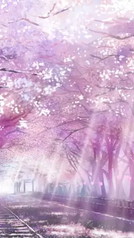 Hình Nền Hoa Anh Đào Anime Tuyệt Đẹp Cho Máy Tính Hình Nền Hoa Anh Đào Anime Tuyệt Đẹp Cho Máy Tính
