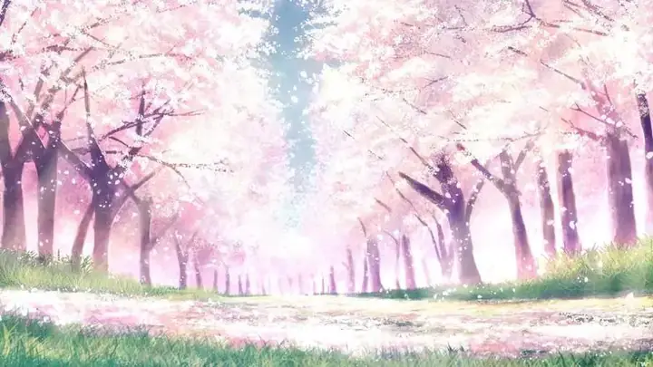 Hình Nền Hoa Anh Đào Anime Tuyệt Đẹp Cho Máy Tính Hình Nền Hoa Anh Đào Anime Tuyệt Đẹp Cho Máy Tính