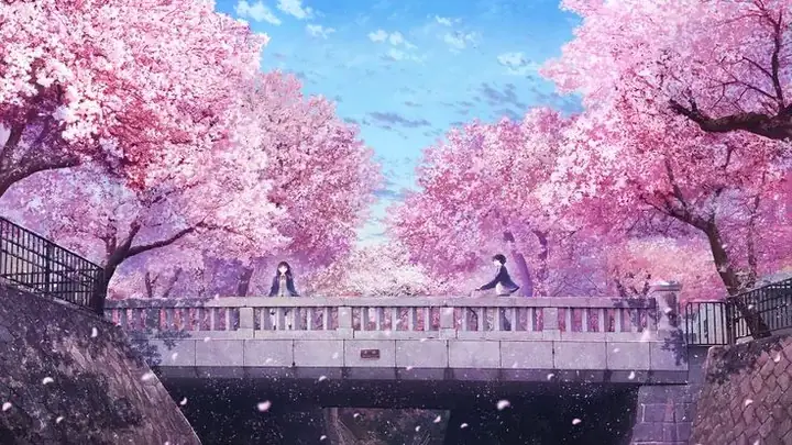 Hình Nền Hoa Anh Đào Anime Tuyệt Đẹp Cho Máy Tính Hình Nền Hoa Anh Đào Anime Tuyệt Đẹp Cho Máy Tính