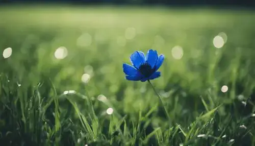 Tương Thích Với Giao Diện Hệ Điều Hành Tương Thích Với Giao Diện Hệ Điều Hành