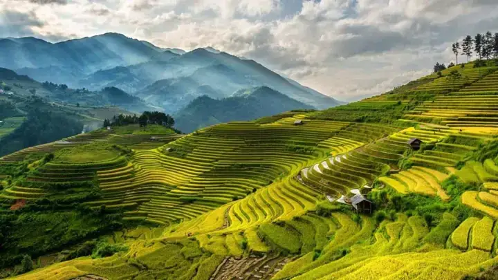 Các Chủ Đề Hình Nền Máy Tính Thiên Nhiên Việt Nam Phổ Biến