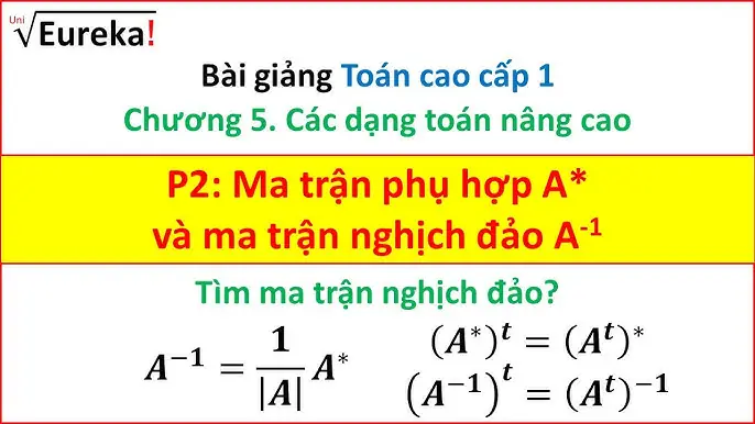 Tính Ma Trận Phụ Hợp: Hướng Dẫn Chi Tiết Và Ứng Dụng Thực Tiễn