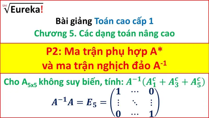 Cách Tính Ma Trận Phụ Hợp - Hướng Dẫn Chi Tiết Và Dễ Hiểu