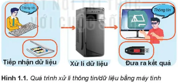 Thông Tin Trong Máy Tính Gồm Những Dạng Nào? Giải Mã Chi Tiết Từ A-z